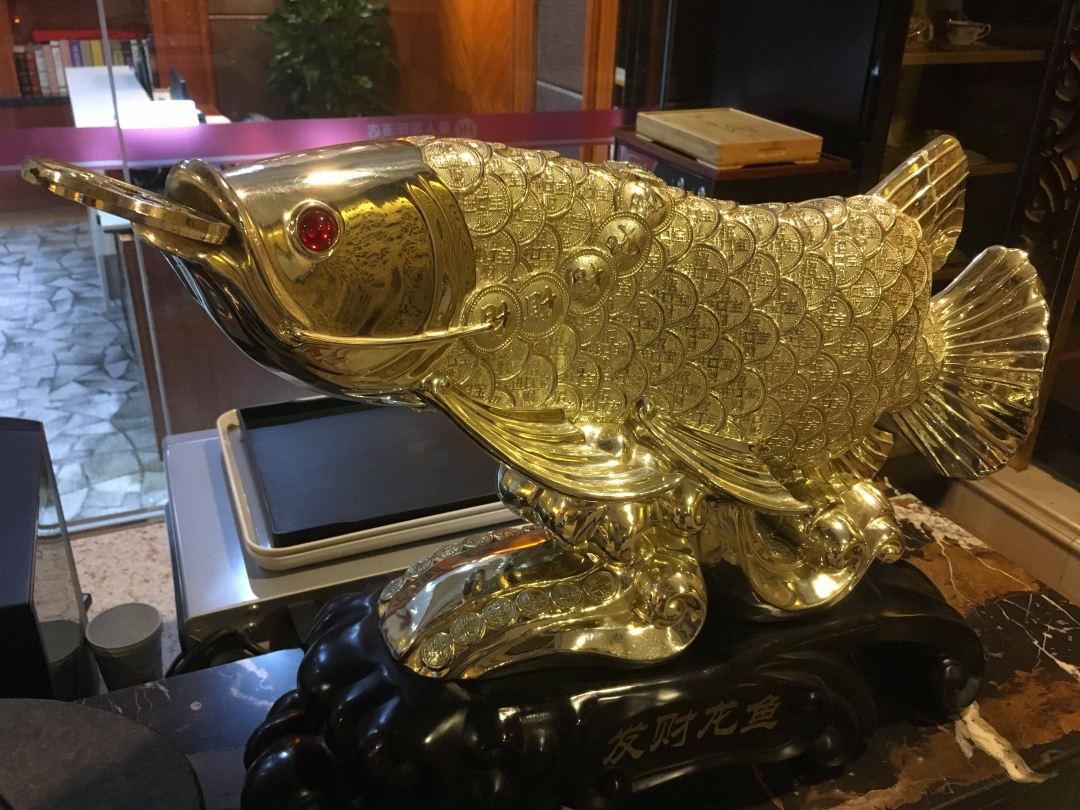 Shenyang China 2019<